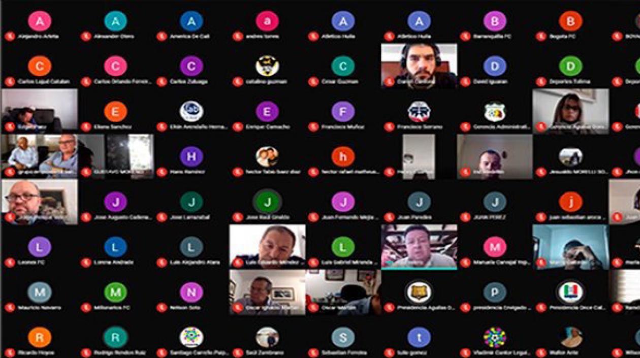 Asamblea virtual de la Dimayor.