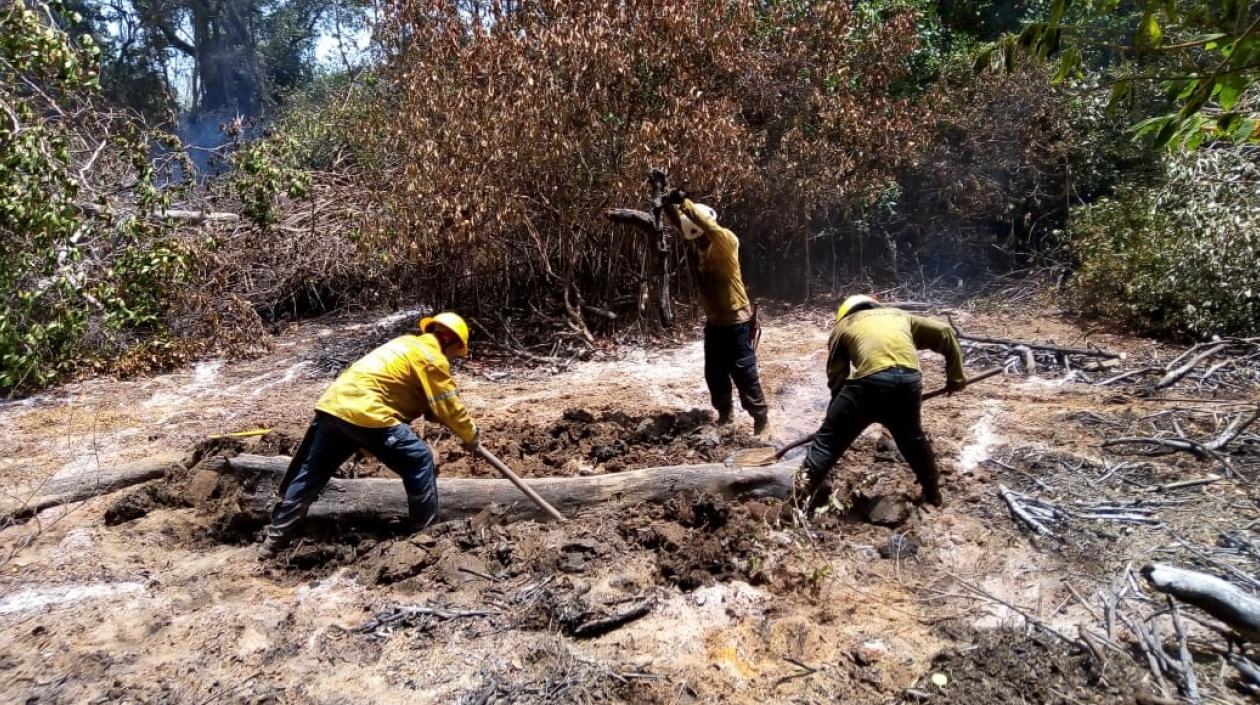 Parques Nacionales hará monitoreo en Parque Salamanca.