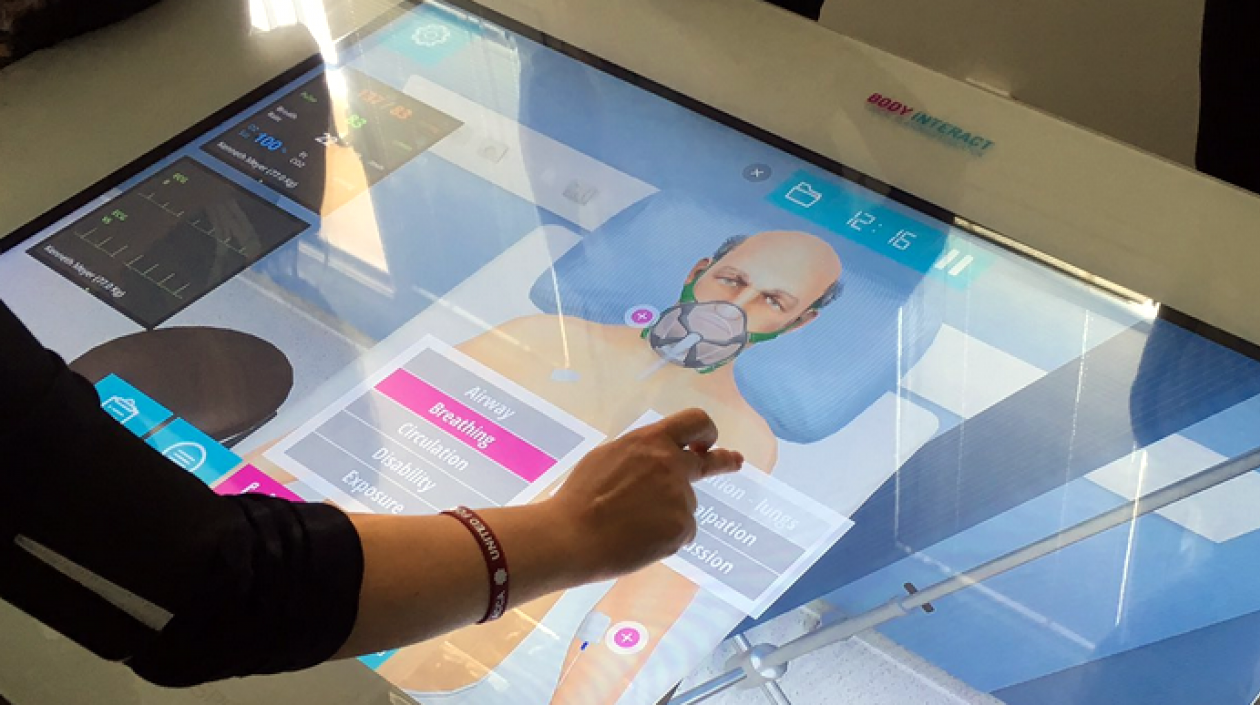 Imagen del simulador.