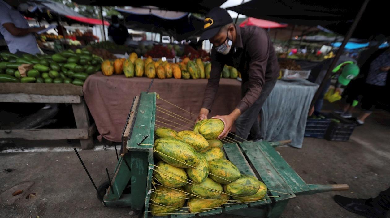 Según estudio, 3.000 millones de personas "no pueden permitirse una dieta saludable".