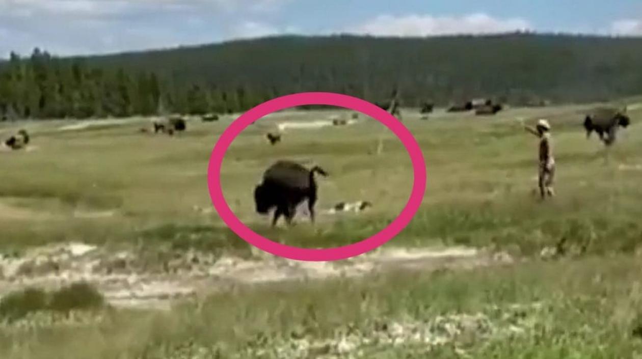 Momento en el que la mujer finge su muerte