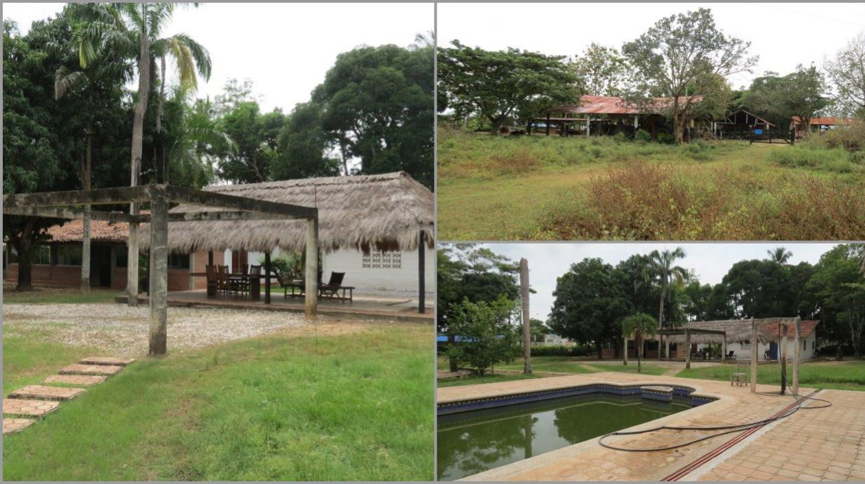 La finca Las Vegas está ubicada en Buenavista, Córdoba.