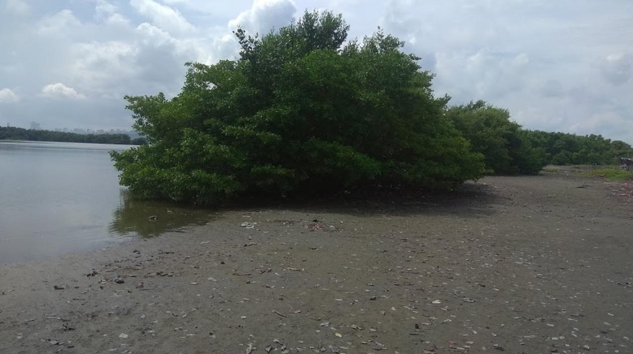 Ciénaga de Mallorquín.