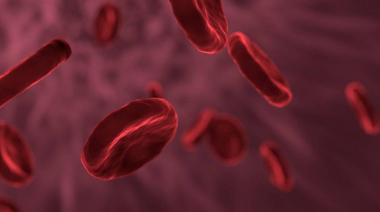 La prueba detecta el cáncer en su fase inicial.