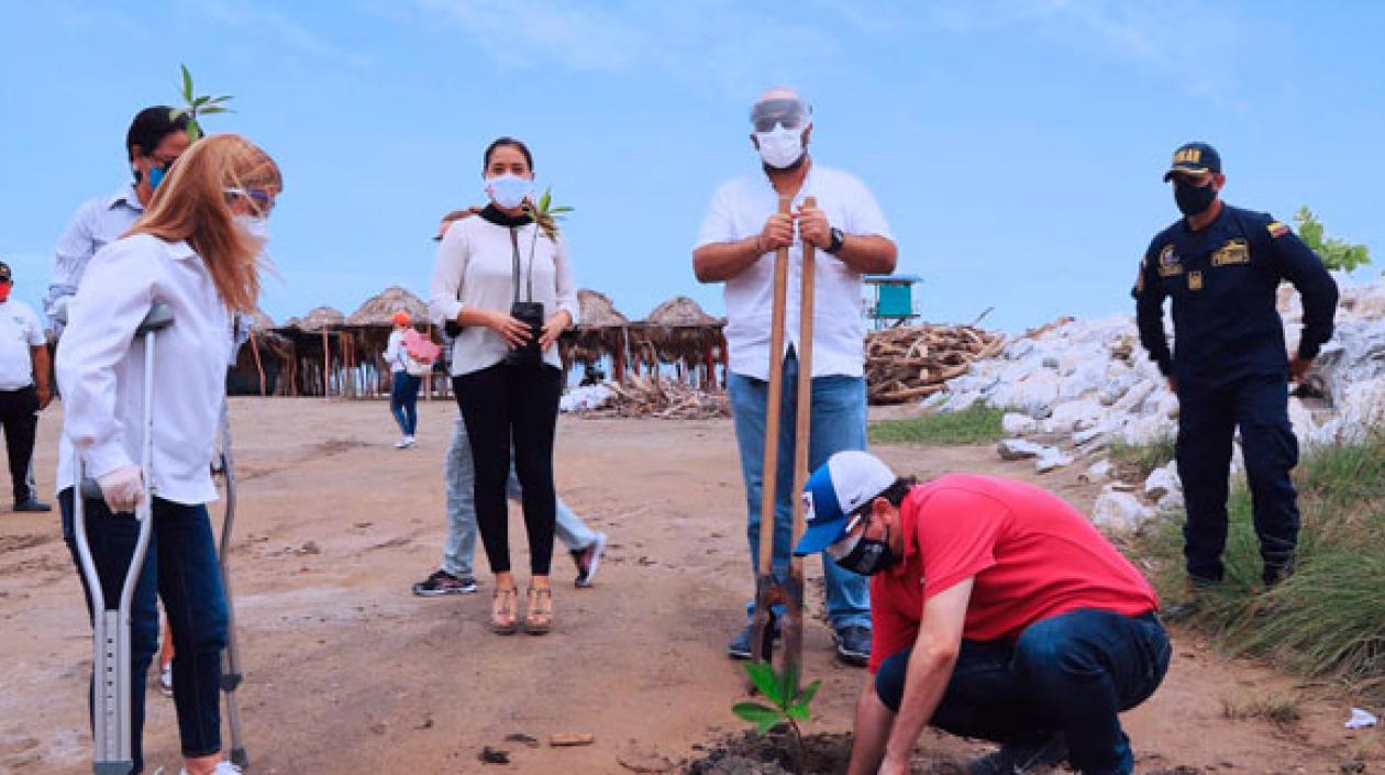 Gobernadora durante la siembra de un árbol cerca de una playa.