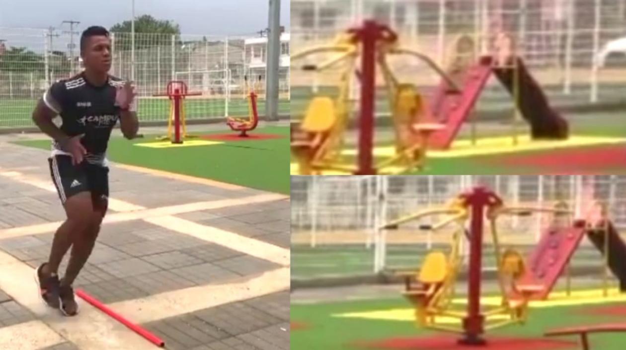 Imágenes del entrenamiento.