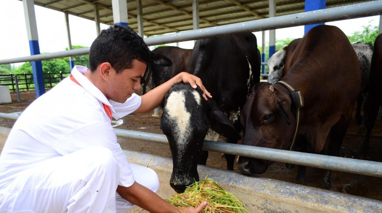 Sena Atlántico ofrece vacantes a través de su servicio de empleo.
