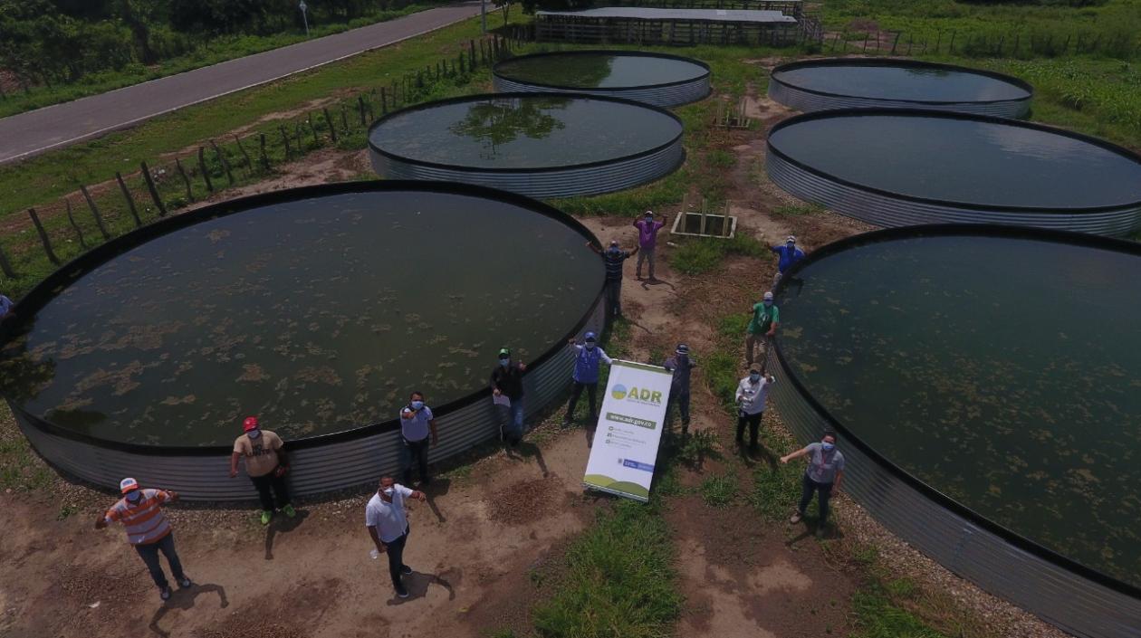 Terreno para la unidad de cultivo intensivo de tilapia roja.