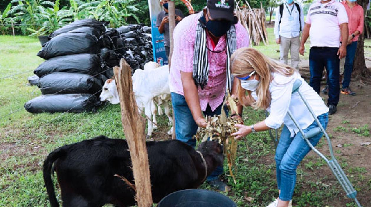 16 municipios del Atlántico serán beneficiados con este gran centro de forraje, el cual hace parte de las estrategias del programa "El Campo a toda Marcha".