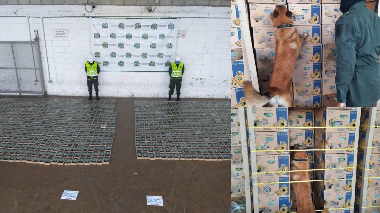Cocaína incautada en el Puerto de Santa Marta.