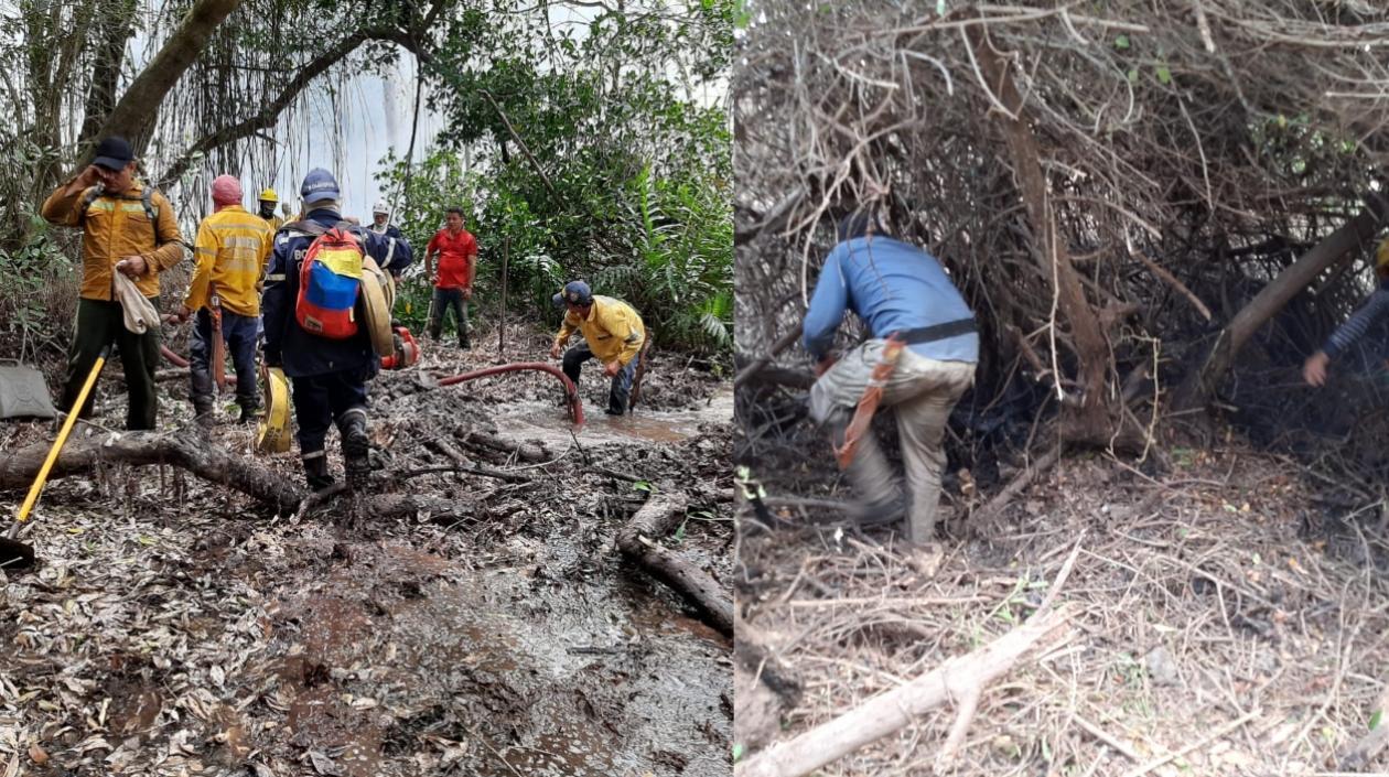Imágenes del trabajo para sofocar el incendio forestal.