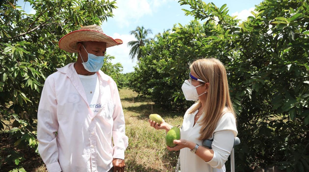 Durante el Festival de la Guayaba se beneficiarán alrededor de 50 familias de Palmar de Varela, entre matronas, campesinos y productores.
