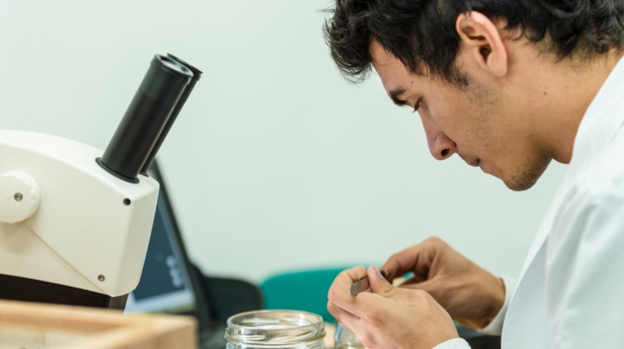 Convocatoria para jóvenes graduados en medicina que estén finalizando su internado.