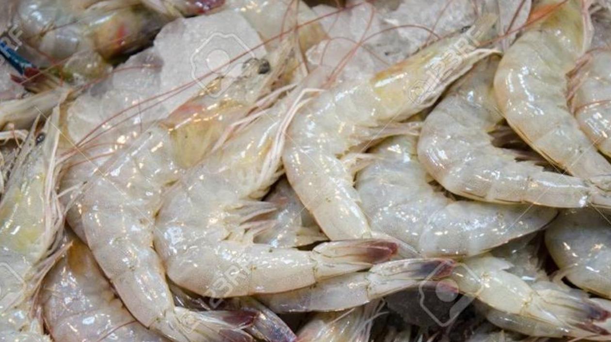 Todas las muestras que han dado positivo por SARS-CoV-2 han sido en el empaquetado exterior de productos congelados.