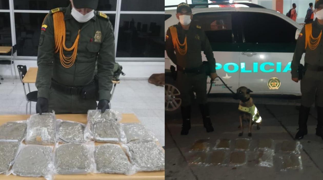 Droga incautada por la Policía.
