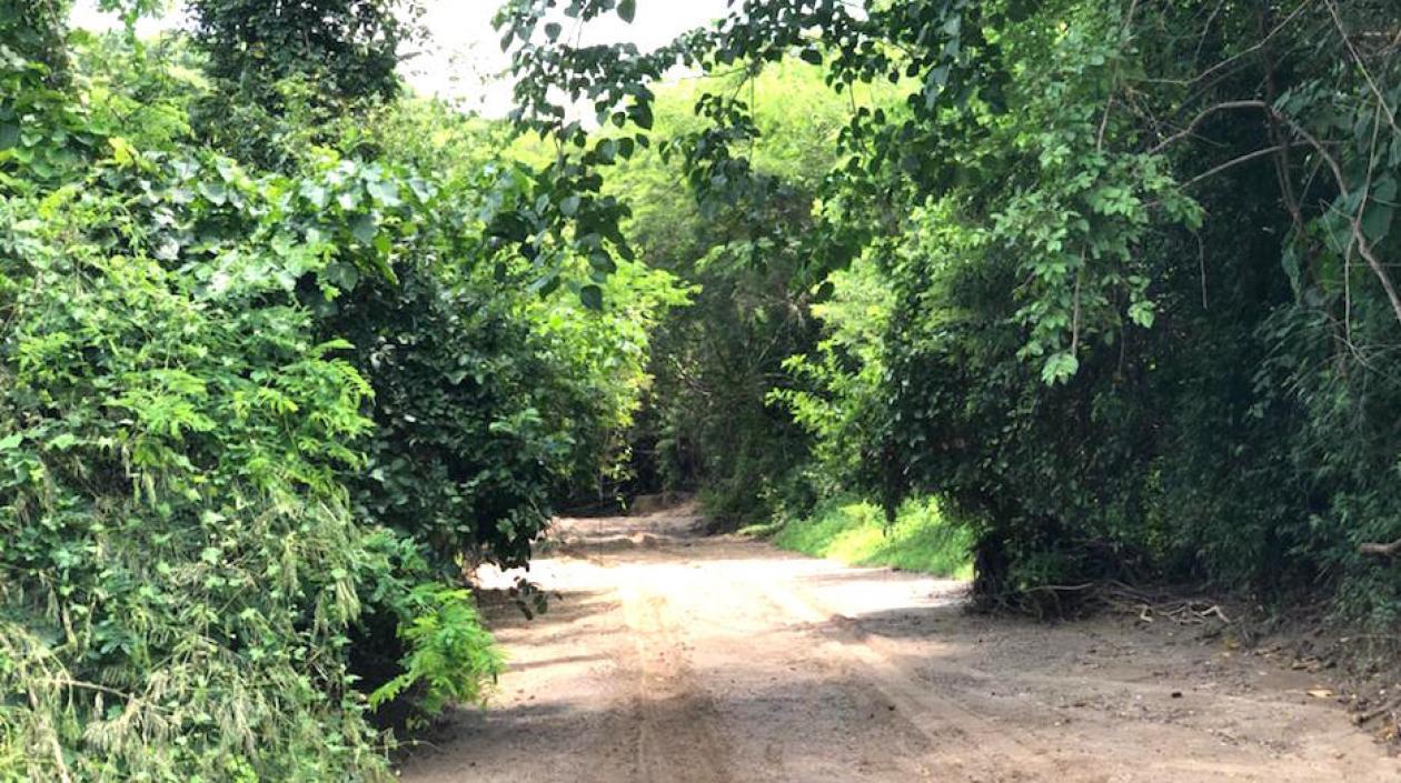 La zona protegida está ubicada en Usiacurí, Atlántico.