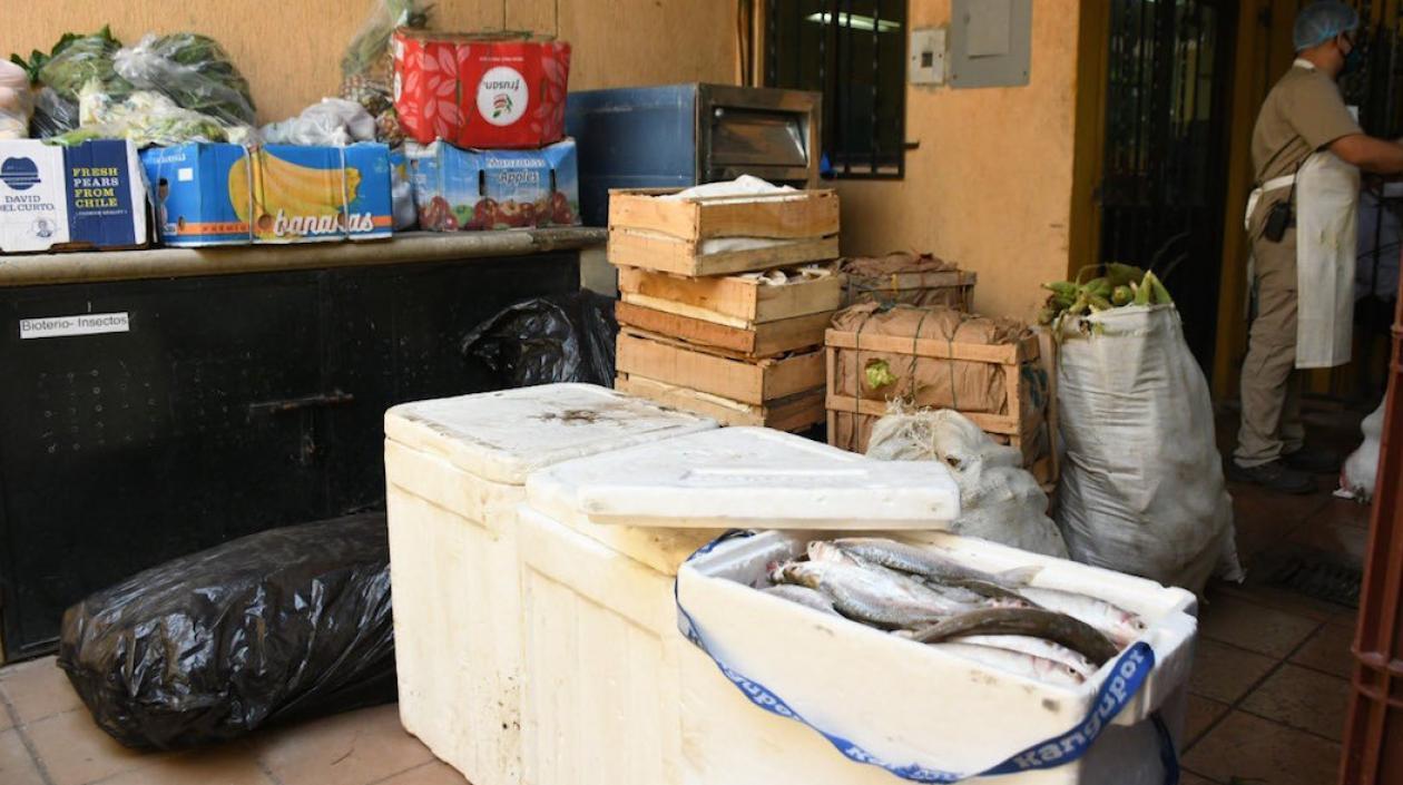 Parte del lote de alimentos entregados.