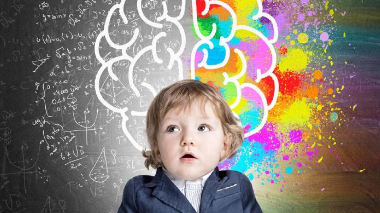 Los investigadores analizaron a profundidad imágenes de resonancia magnética funcional (fMRI).