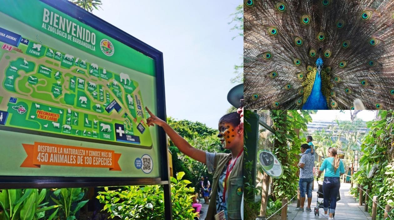 El Zoológico reabre sus puertas el 23 de septiembre.