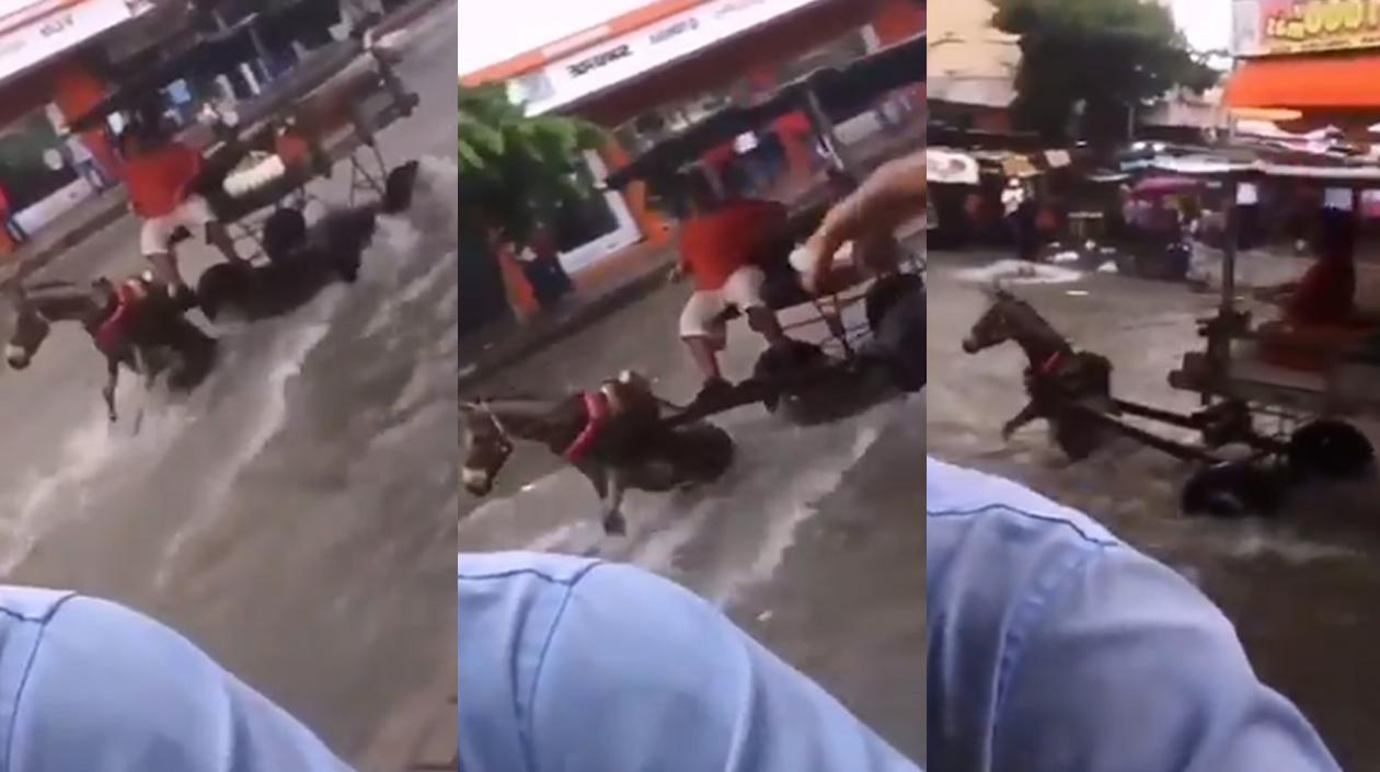 Imágenes de 'e mula en el arroyo.