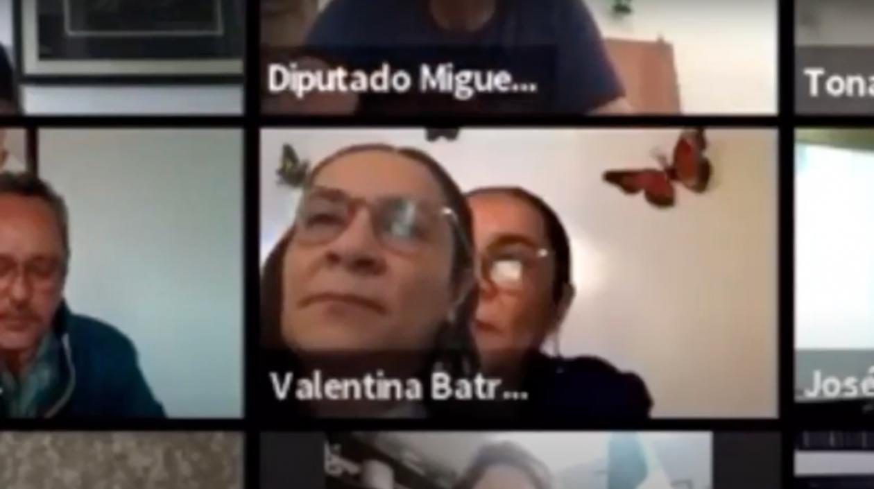 La diputada Valentina Batres Guadarrama. 