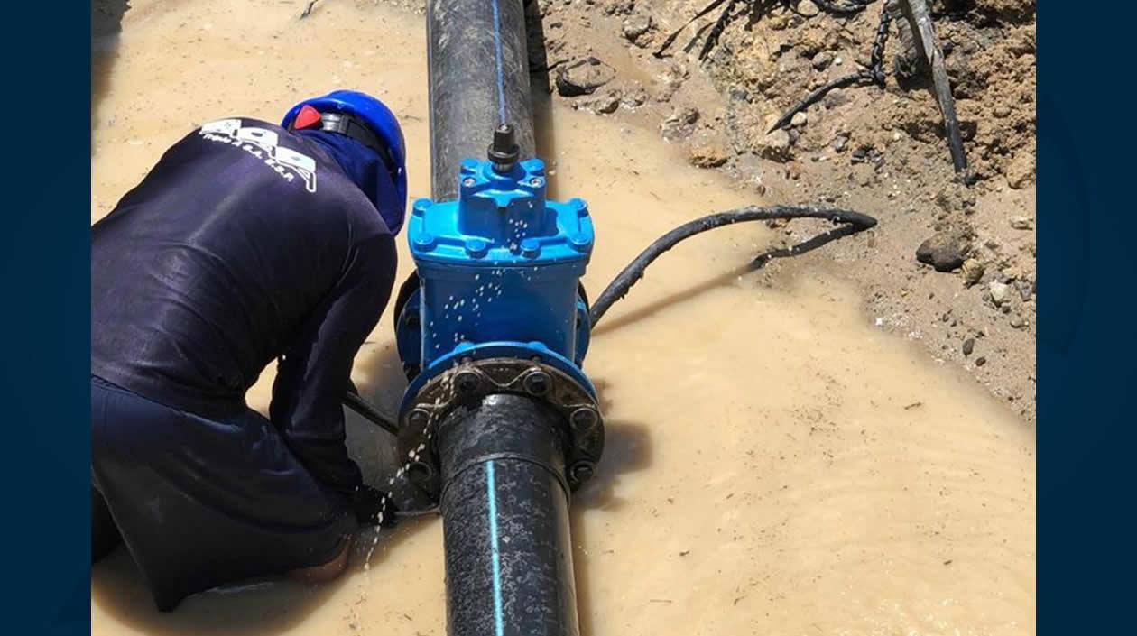 Imagen de referencia de la Triple A.