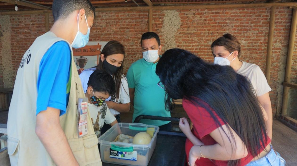 El Zoológico de Barranquilla recibió acreditación internacional.