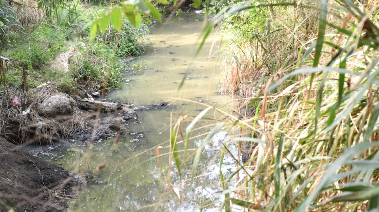 Aguas residuales convertidas en focos de infección.
