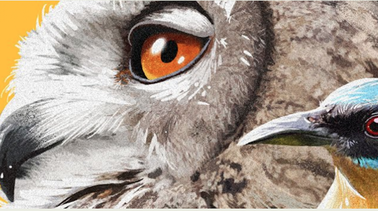 Una guía práctica para todos de turismo de naturaleza.