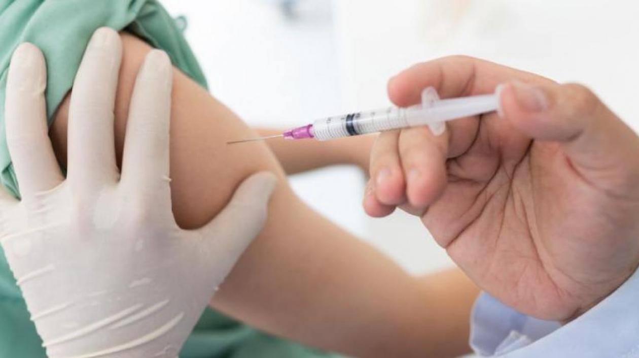 Imágenes referencial.