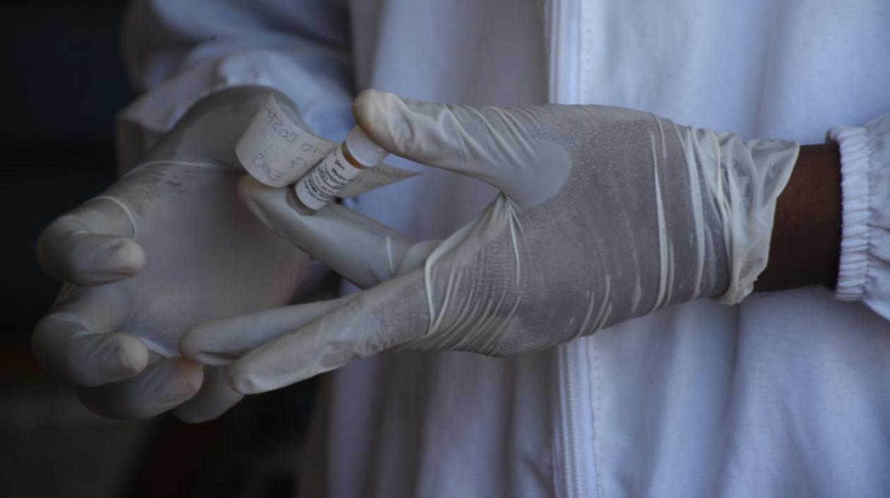 Imágenes referencial.