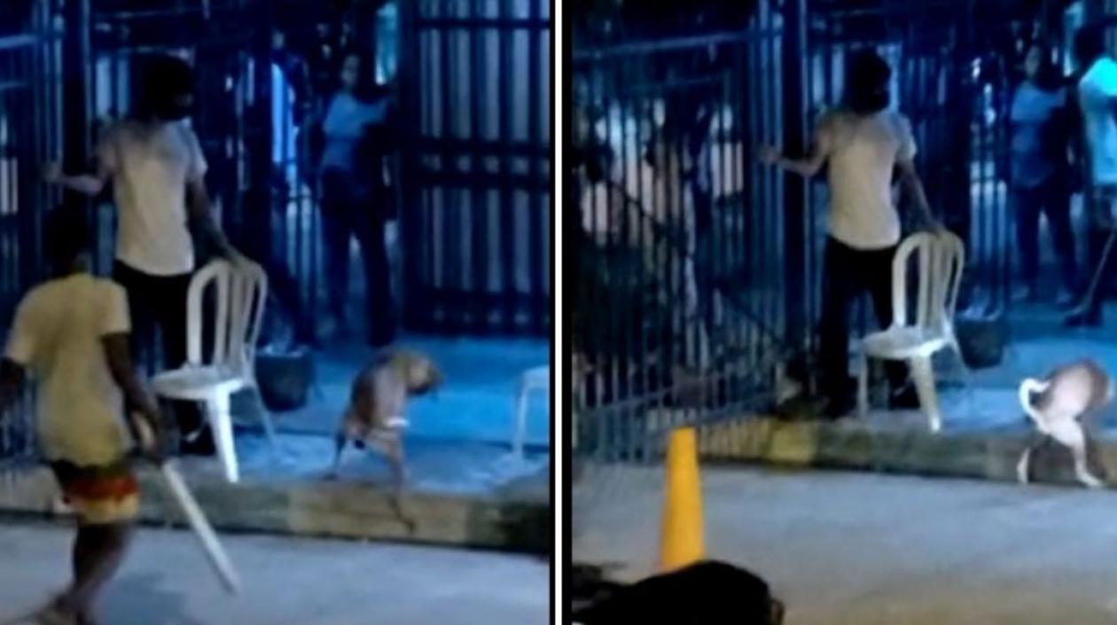 Imágenes del ataque. 