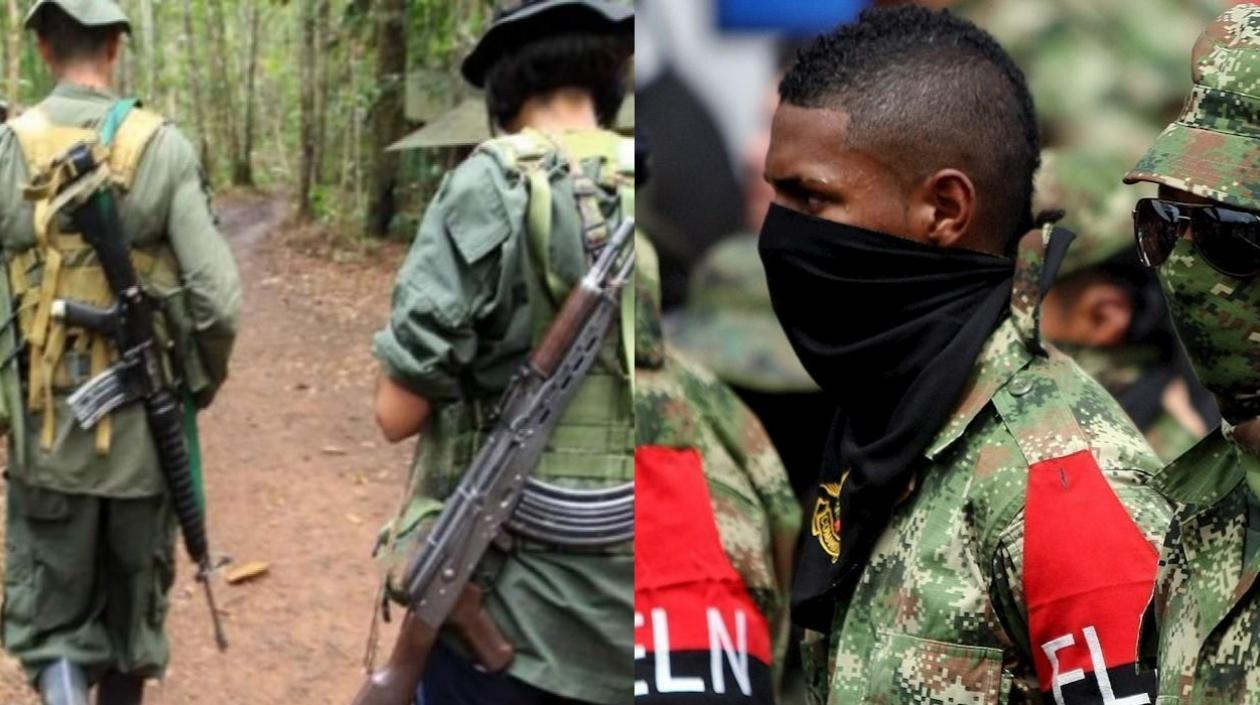 Imágenes referenciales.