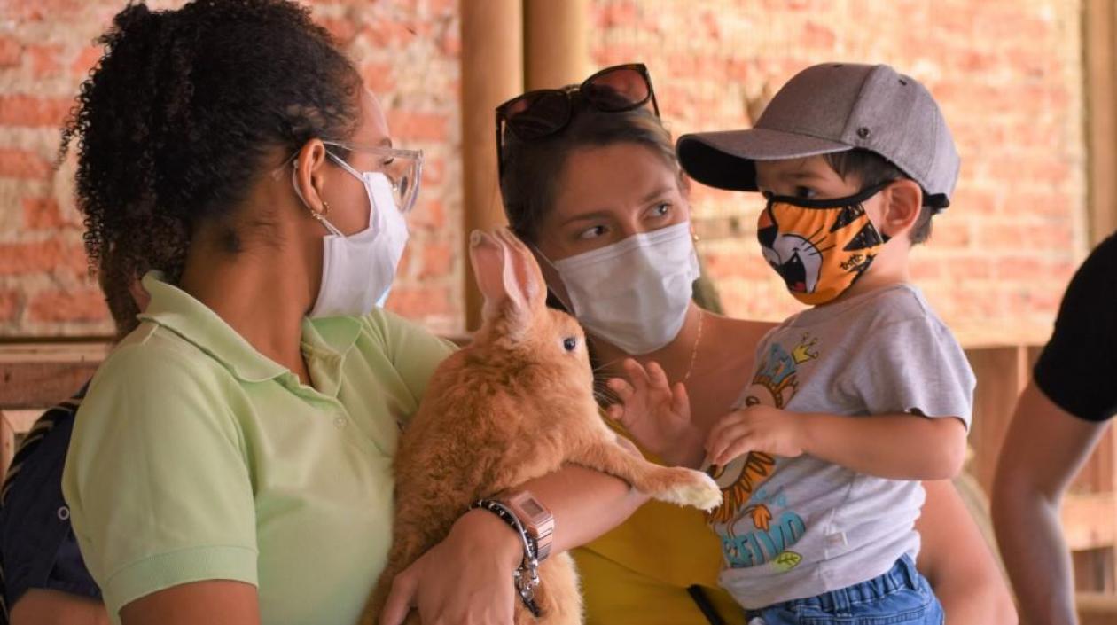 El Zoo estará abierto todos los días en horario habitual de 9:00 a.m. a 5:00 p.m. en jornada continua.