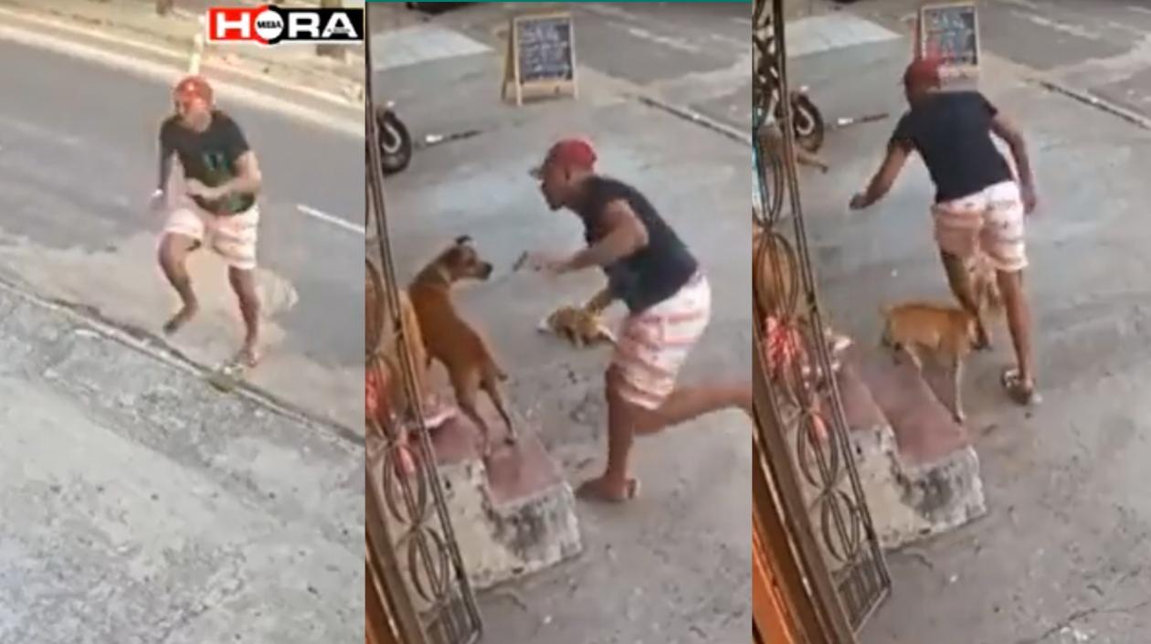 Como en cualquier lugar de Barranquilla esto fue en Brasil, pero el ladrón fue mordido por el perro.