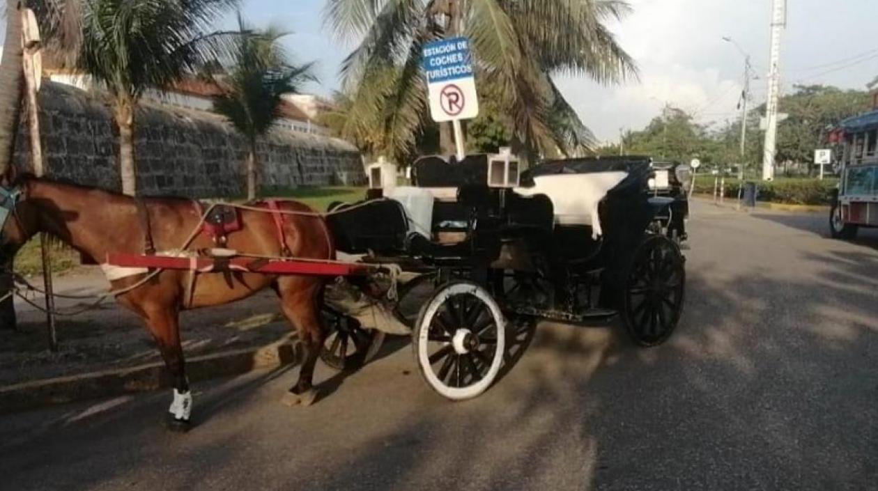 Los famosos coches de Cartagena desaparecerían.