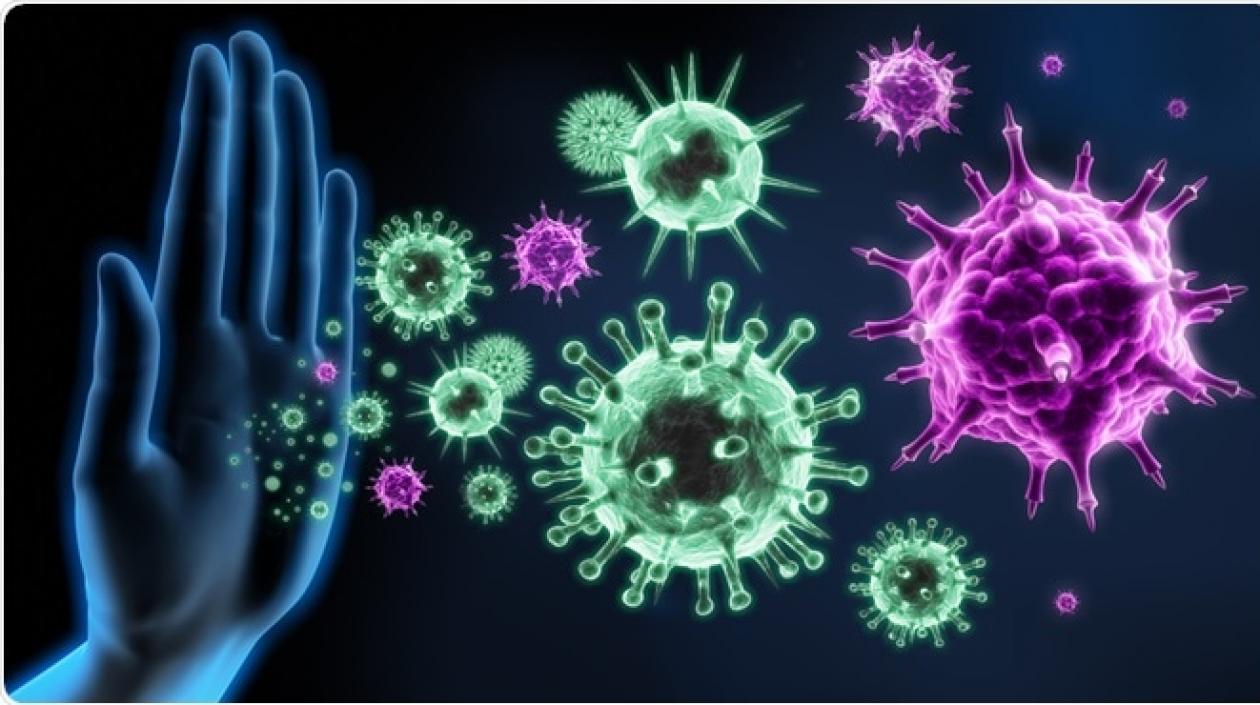 Este mecanismo del cuerpo humano funciona como la barrera ante los virus, bacterias y contra enfermedades, infecciones y ataques de patógenos externos. 