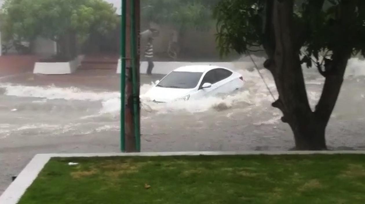 Instantes en que vehículo conducido por profesor universitario 