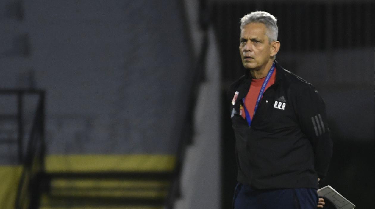 Reinaldo Rueda, técnico de la Selección Colombia. 