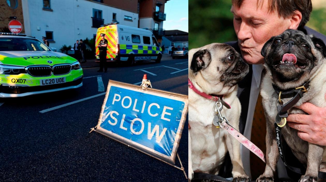 El diputado conservador David Amess murió en el lugar de los hechos en Essex.