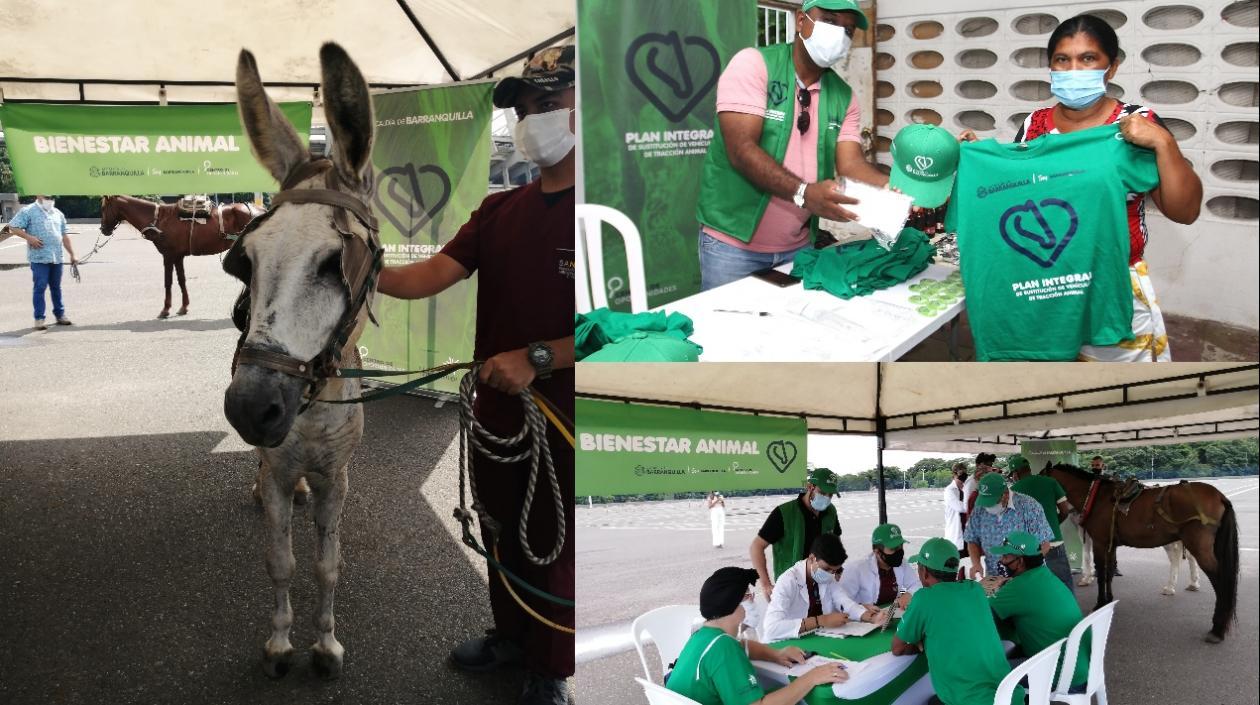 Avanza Plan Integral de Sustitución de Vehículos de Tracción Animal.