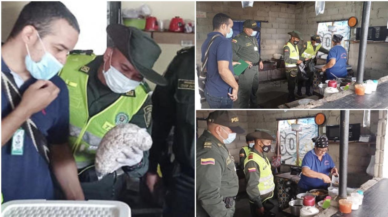 Procedimiento de las autoridades, al detectar carne de tortuga. 