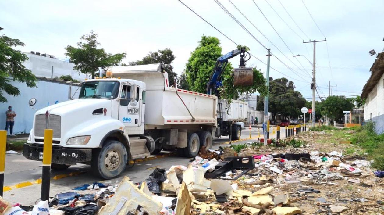 Trabajos de limpieza en uno de los sectores.