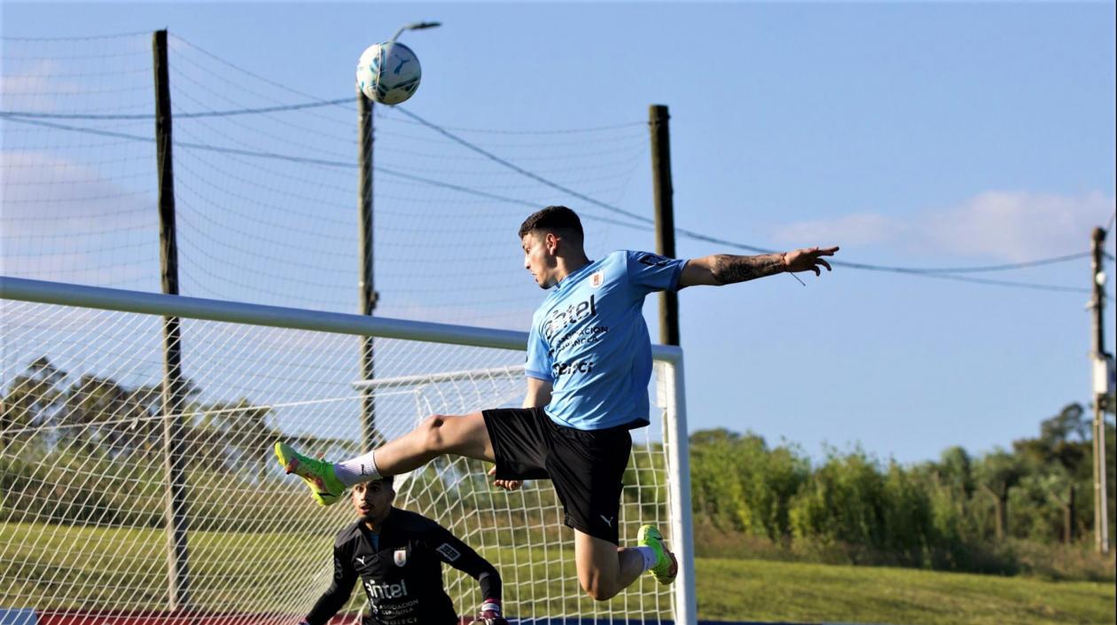 Jugadores de la Selección Uruguay, durante un entrenamiento. 