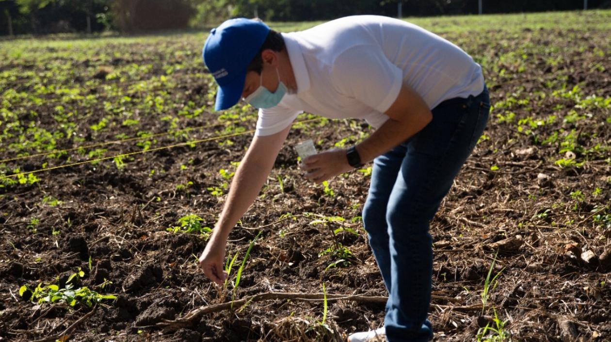 Miguel Vergara, secretario de Desarrollo Económico.