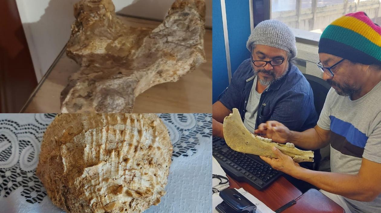 Investigadores de Uniatlántico con material fósil.
