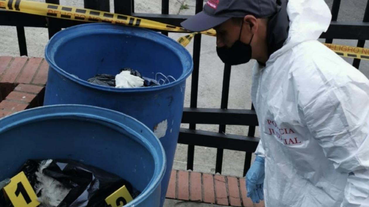 Hallazgo de animales muertos. 