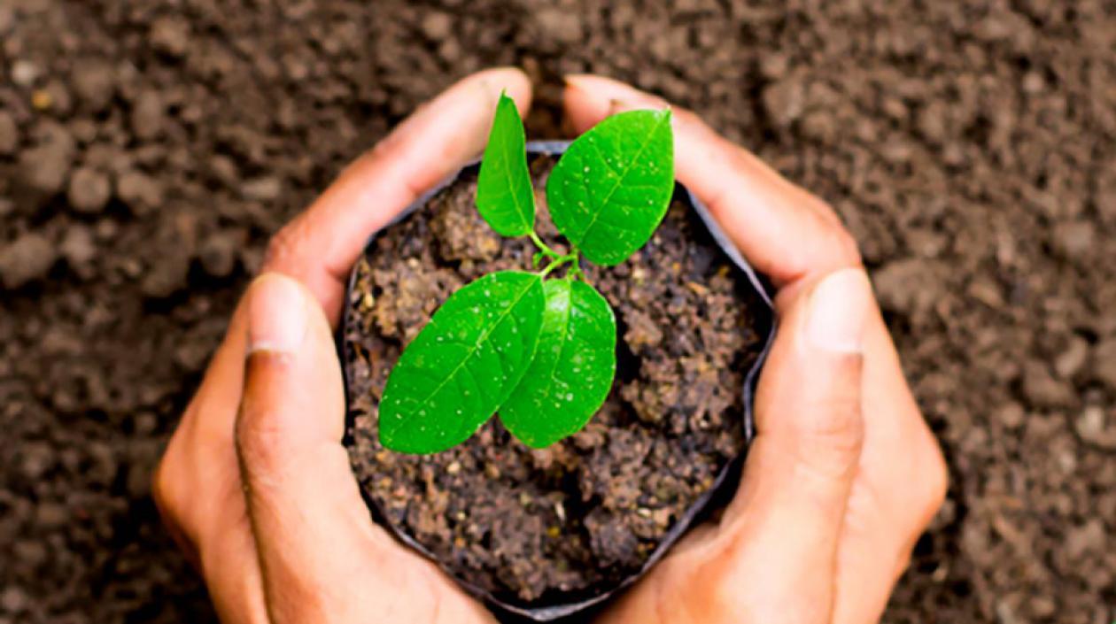 Las Reservas de la Sociedad Civil son espacios a cargo de ciudadanos decididos a conservar sus predios, cultura y patrimonio. 