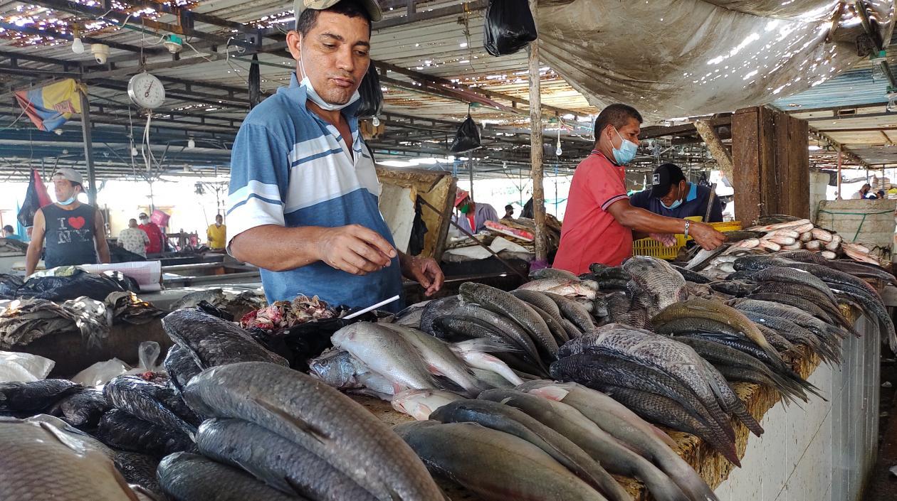 Subienda de bocachico en Barranquilla
