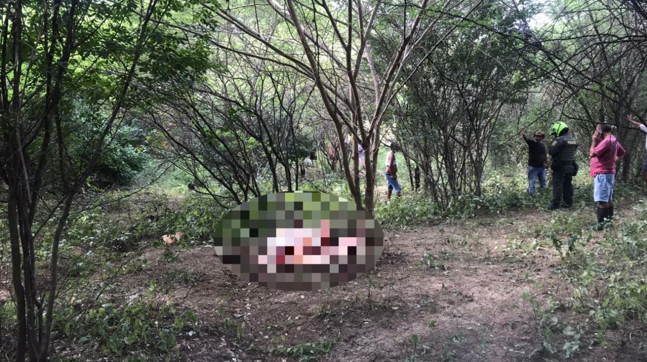 Restos de una de las vacas que fueron hallados. 